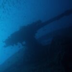 Działo rufowe Thistlegorm jako sylwetka na tle błękitu, pod ławicą drobnych ryb