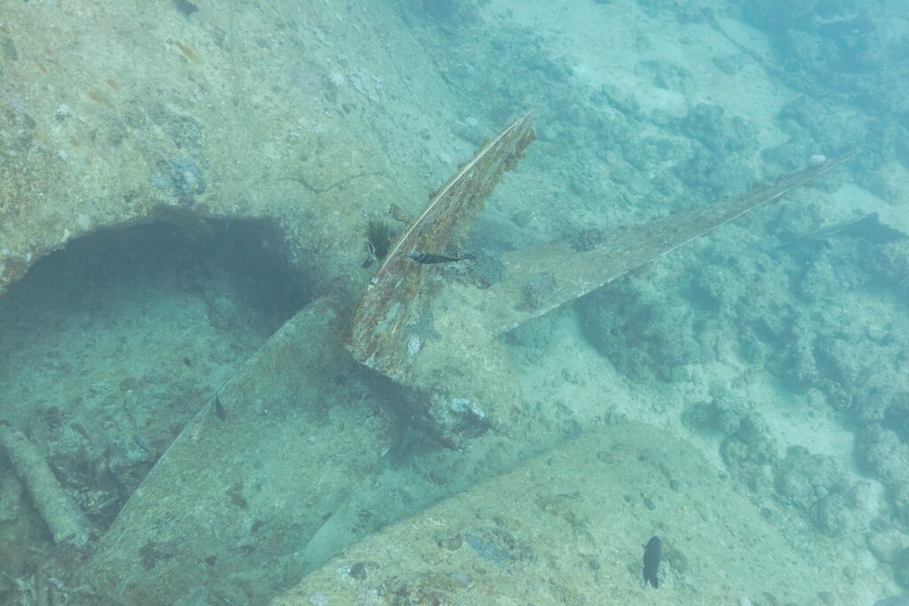 Łopata śruby Thistlegorm, pokryta naroślami, przy piasku obok kadłuba