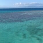 Laguna z góry, turkusowa woda z ciemnymi plamami koralowców, po prawej bariera, na której łamią się fale, a na horyzoncie góry Grande Terre