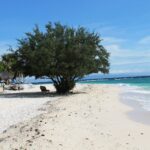 Plaża z białego piasku, gdzie wielkie gęste drzewo ocienia leżak, po lewej chatki kryte strzechą, po prawej łagodnie rozbijające się turkusowe morze, pod błękitnym niebem.