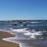 Plaża ze złotobrązowego piasku, na którą wbiegają fale z pianą, przed niebieskim morzem usianym czarnymi skałami aż po horyzont, pod bezchmurnym niebem.