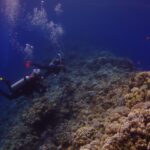 Dwóch nurków płynie wzdłuż zewnętrznej ściany Blue Hole, pokrytej koralami twardymi i anthiasami, po lewej głęboki błękit